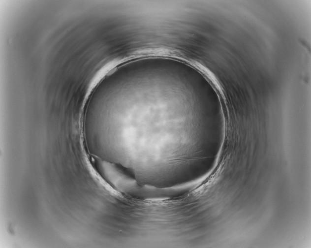 X0000094421389200711081128