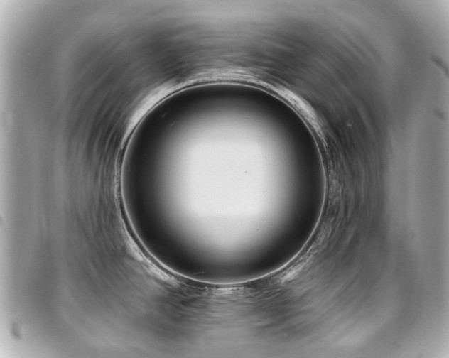 X0000094421390200711081128