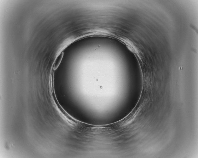 X0000094421391200711081128