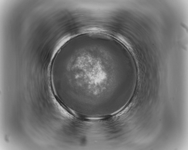 X0000094421392200711081128
