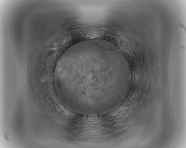 X0000094421393200711081128