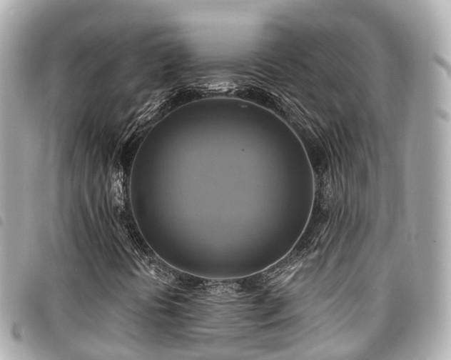 X0000094421394200711081128