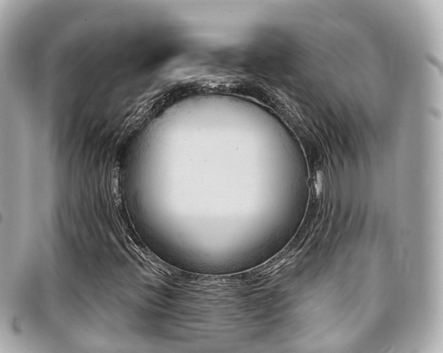 X0000094421396200711081128