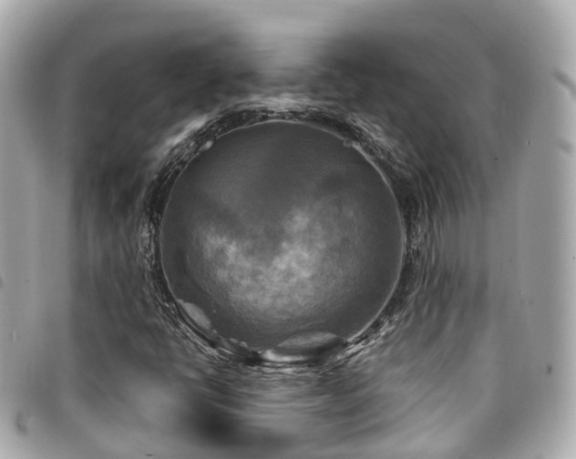 X0000094421398200711081128