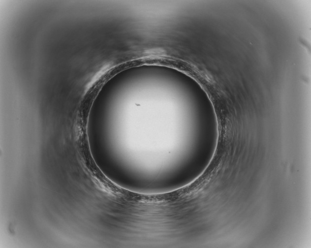 X0000094421400200711081128