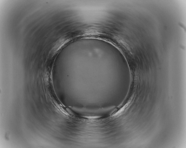 X0000094421401200711081128