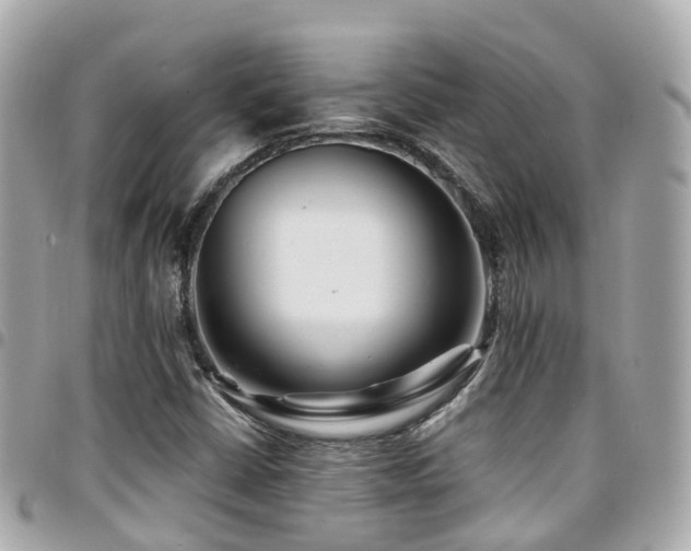 X0000094421402200711081128