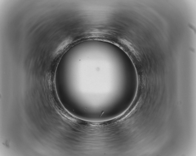 X0000094421403200711081128