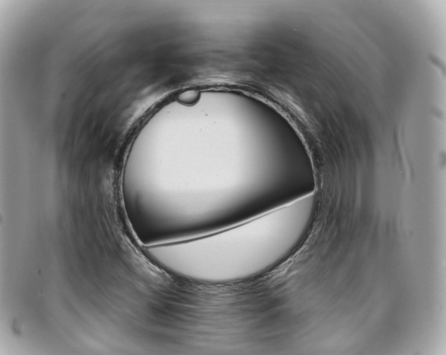 X0000094421404200711081128
