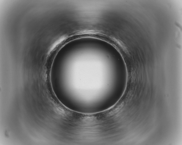 X0000094421406200711081128