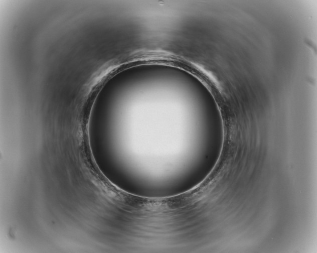 X0000094421407200711081128