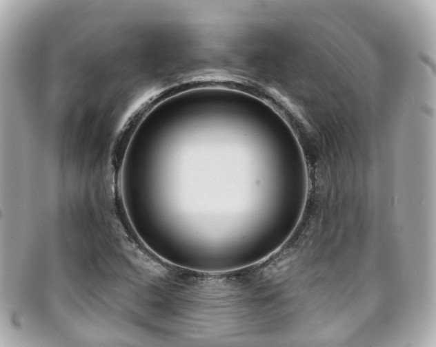 X0000094421408200711081128