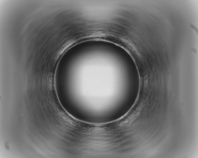 X0000094421409200711081128