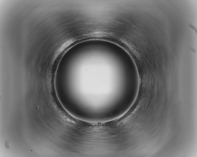 X0000094421410200711081128