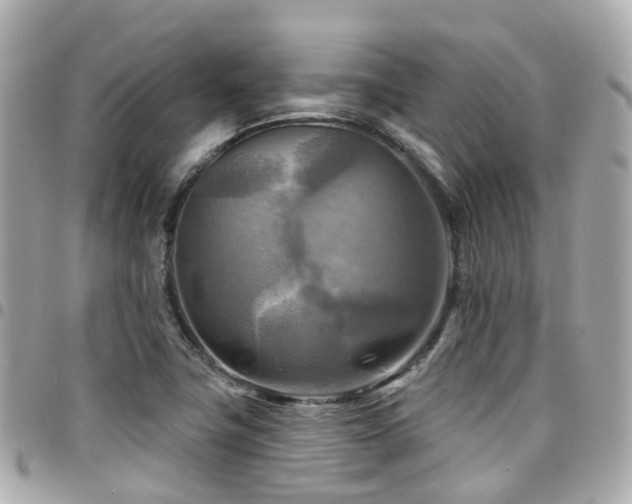 X0000094421411200711081128