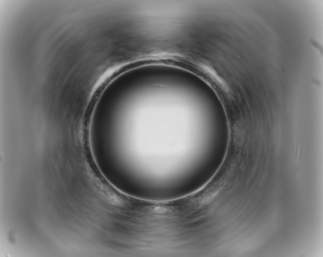 X0000094421412200711081128