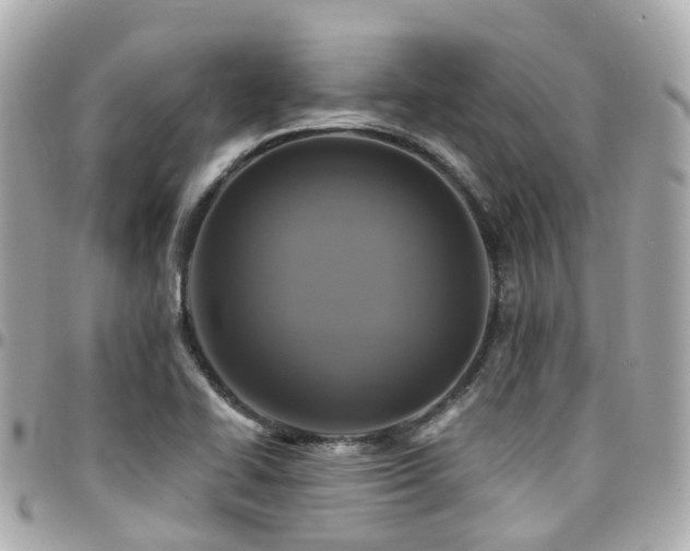 X0000094421414200711081128