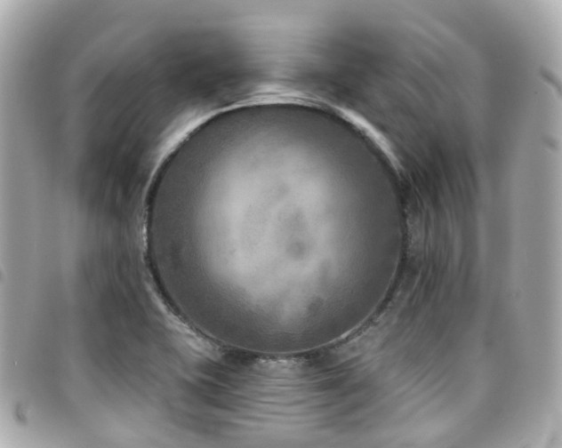 X0000094421415200711081128