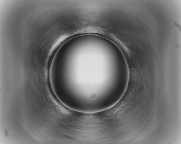 X0000094421416200711081128