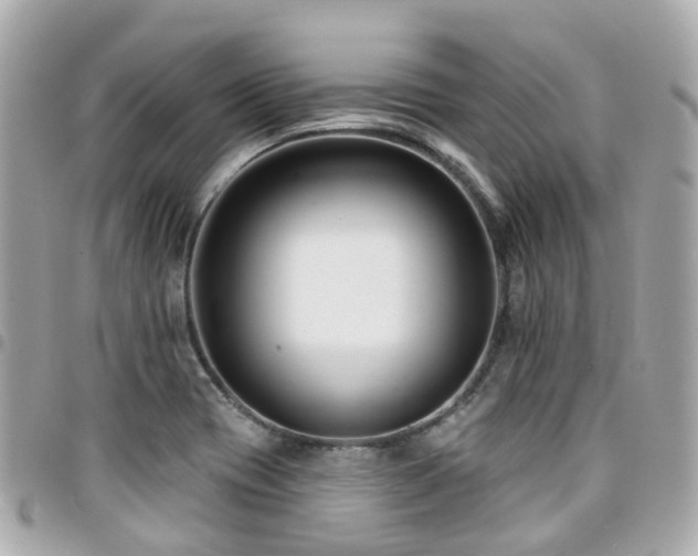X0000094421417200711081128