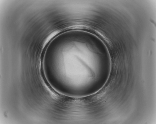 X0000094421418200711081128