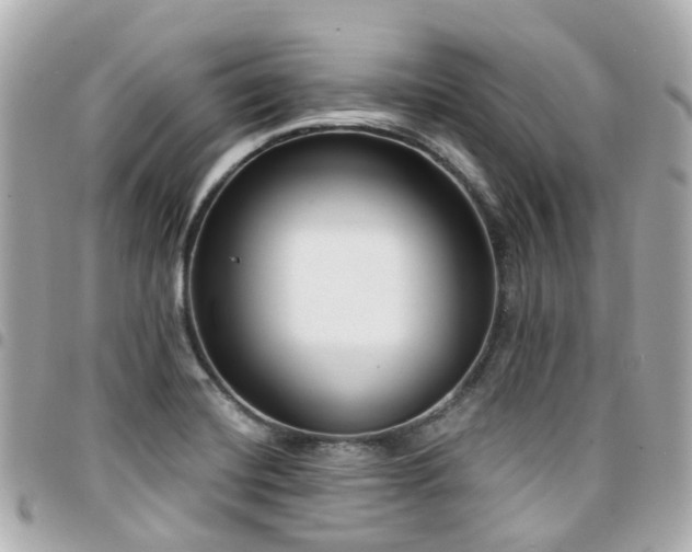 X0000094421420200711081128