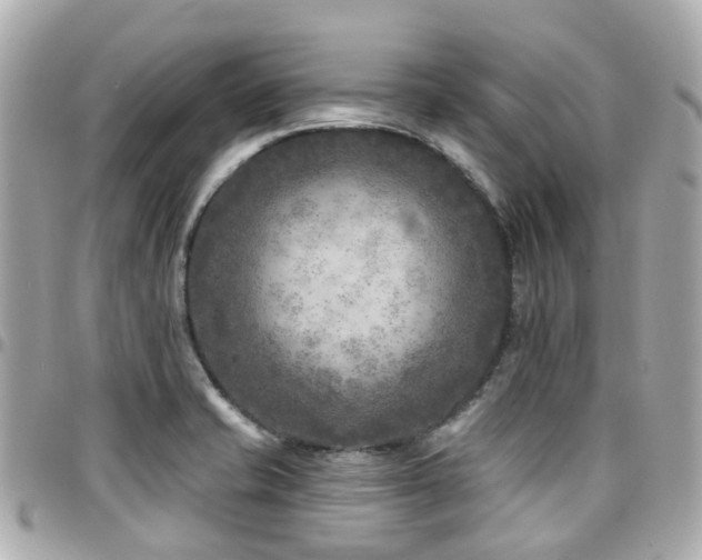 X0000094421421200711081128