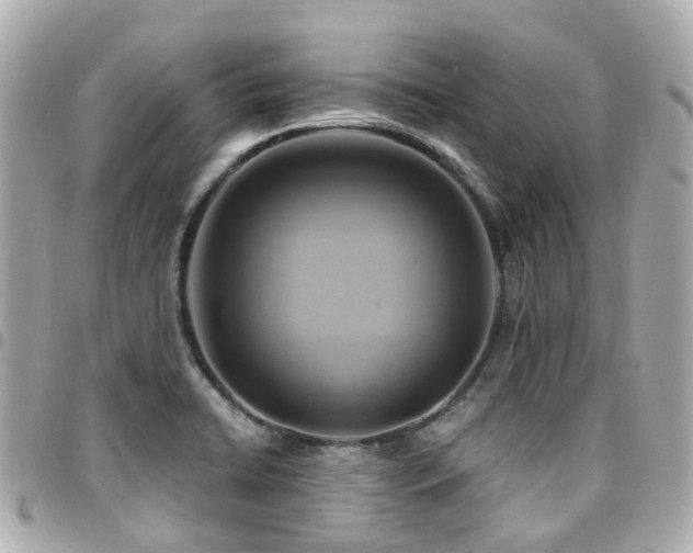 X0000094421422200711081128