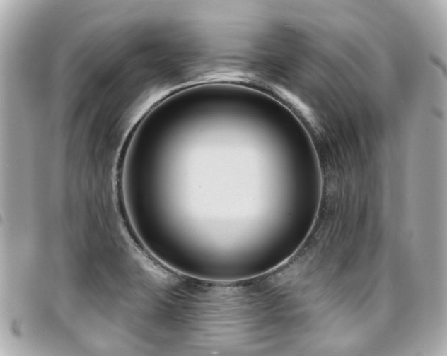 X0000094421423200711081128