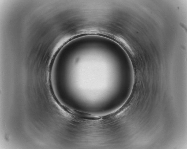 X0000094421424200711081128
