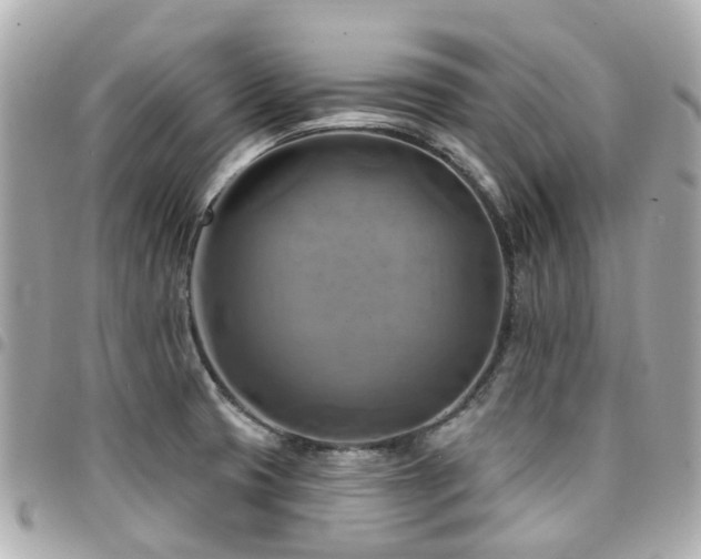 X0000094421425200711081128