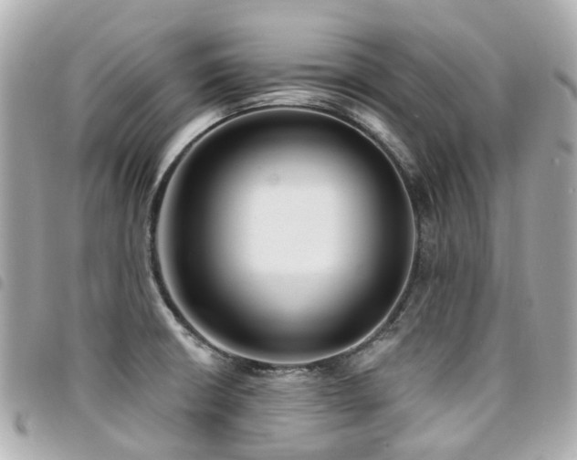 X0000094421426200711081128