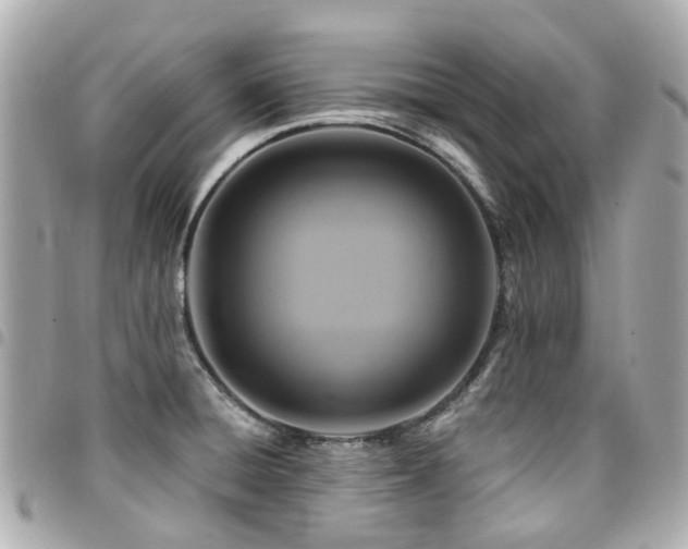 X0000094421428200711081128