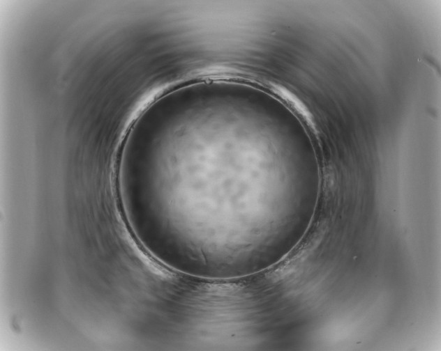 X0000094421429200711081128