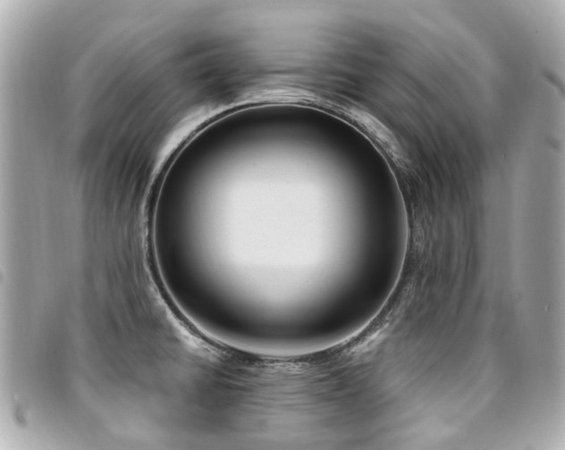 X0000094421430200711081128