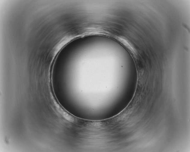 X0000094421431200711081128