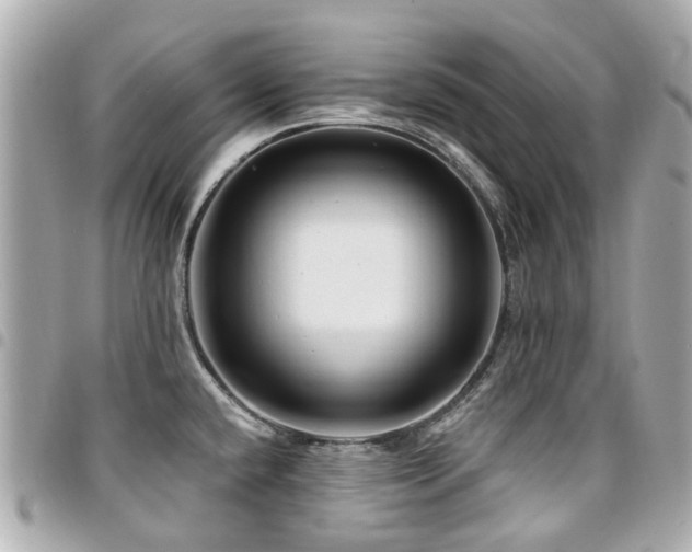 X0000094421432200711081128