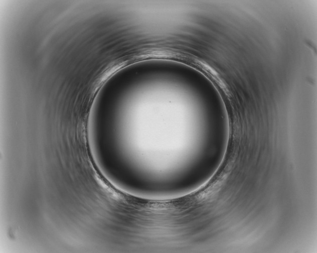 X0000094421433200711081128
