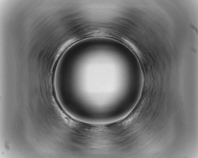 X0000094421434200711081128