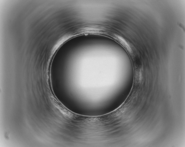 X0000094421435200711081128