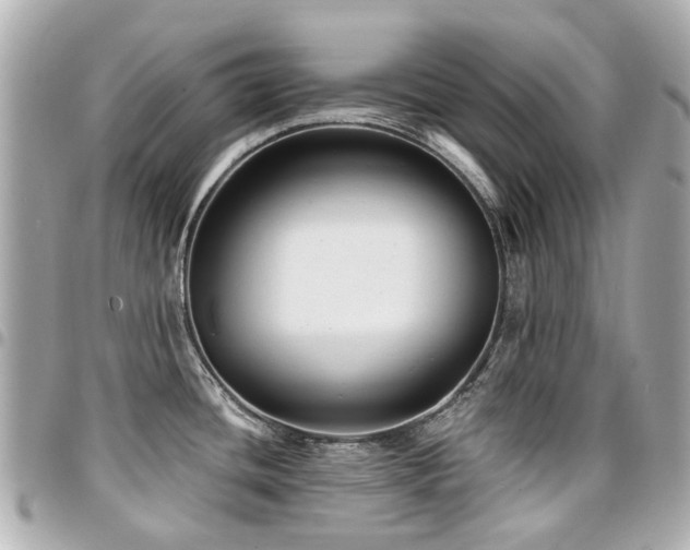 X0000094421436200711081128
