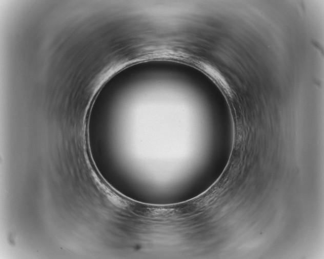 X0000094421439200711081128