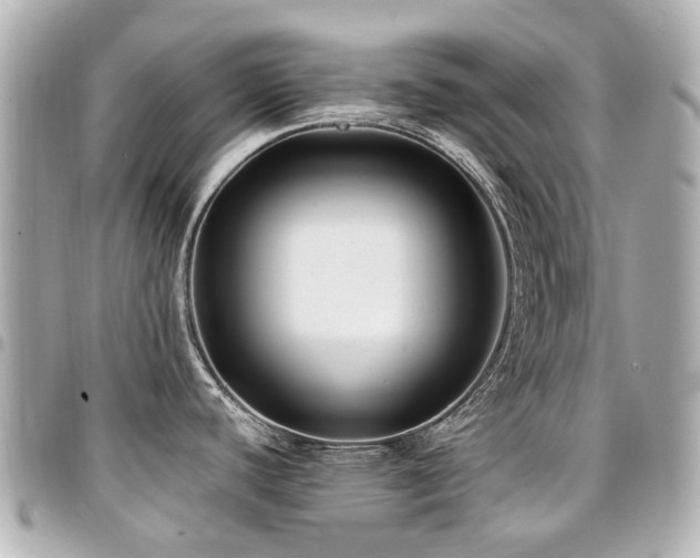 X0000094421440200711081128