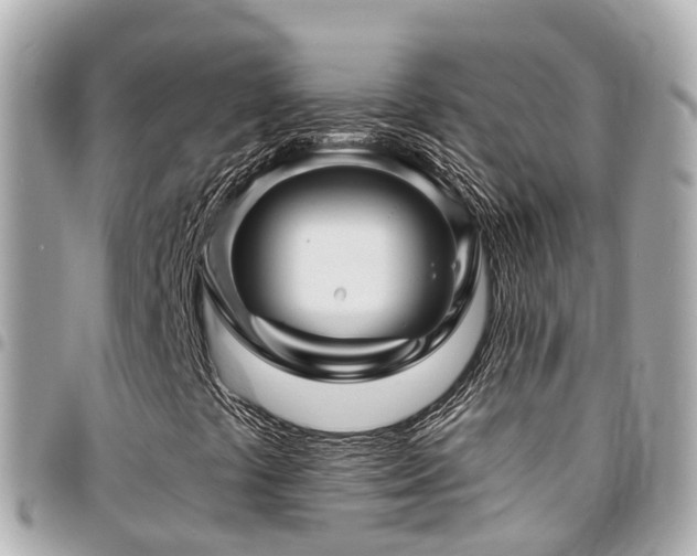 X0000094421441200711081128