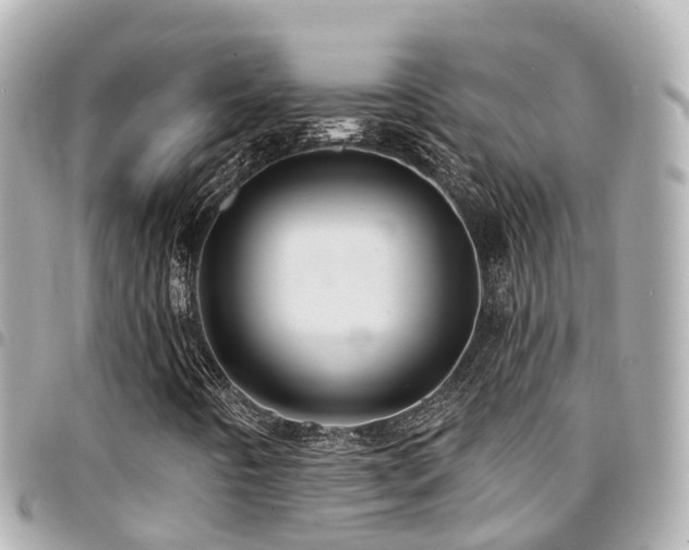 X0000094421442200711081128