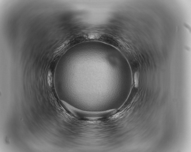 X0000094421443200711081128