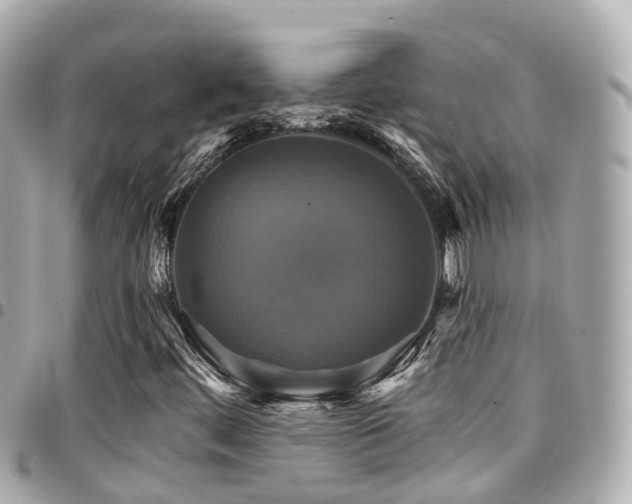 X0000094421444200711081128