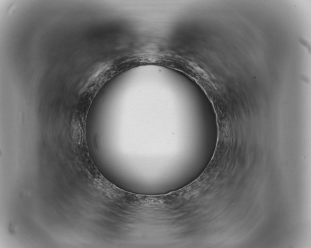 X0000094421446200711081128