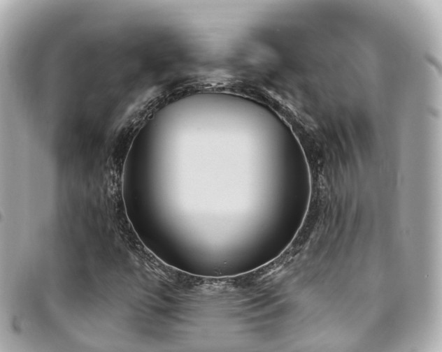 X0000094421447200711081128