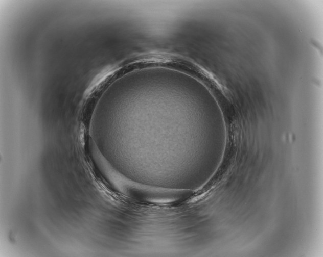 X0000094421448200711081128